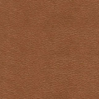 Chestnut (FC 65)
