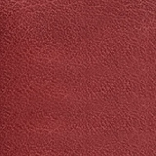 Maroon (FC 16)